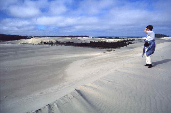 Oregon Dunes