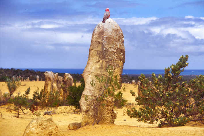 Pinnacles