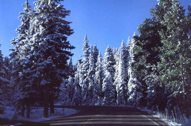 Big Horn Mountain Richtung Yellowstone