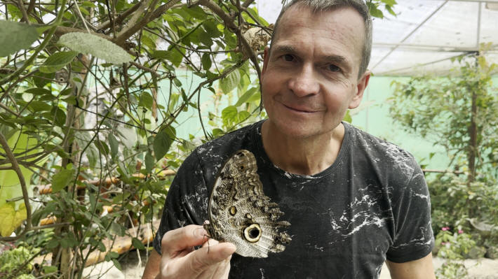 Butterfly Garden