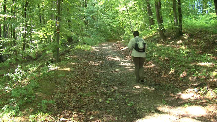 Von Steinbach nach Mauerbach