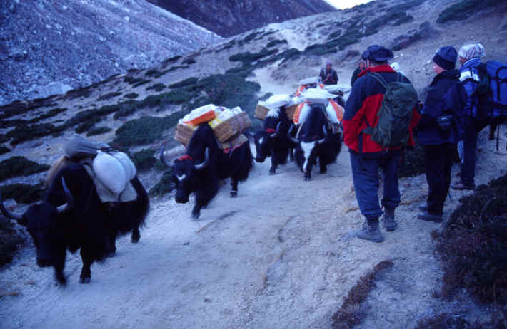 The way to Tengpoche 12.760 feet