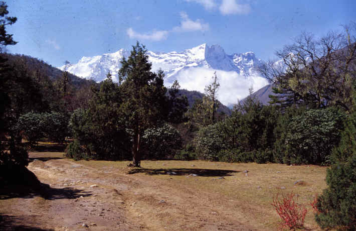 The way to Tengpoche 12.760 feet