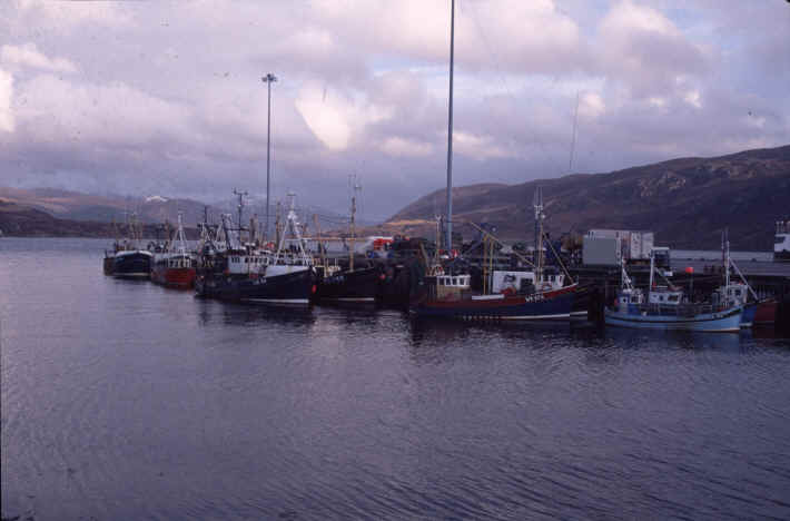 The Harbor of Ullapool