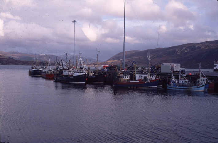 Der Hafen von Ullapool