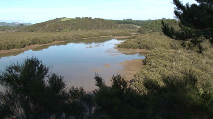 Waitangi