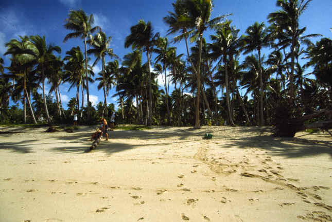 Yasawa Island