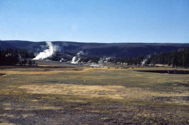 Old Faithful Basin