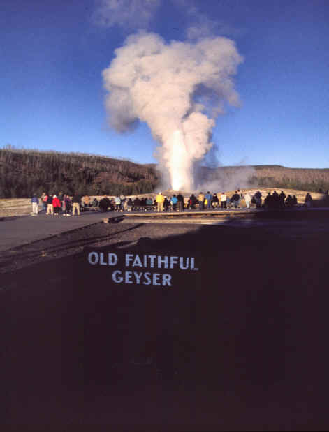 Old Faithful